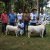 Geral